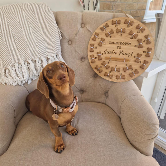 Pet Christmas Advent Calendar - Personalised for your Furry Friend